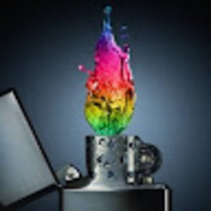 Meet your Posher, Elli